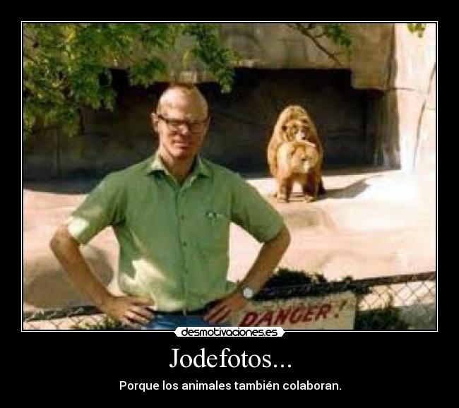 Jodefotos... - Porque los animales también colaboran.