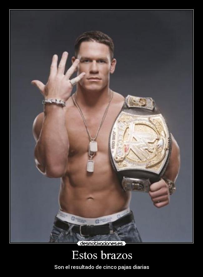 carteles john cena pajas desmotivaciones