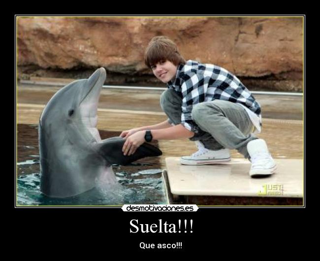 carteles asco desmotivaciones