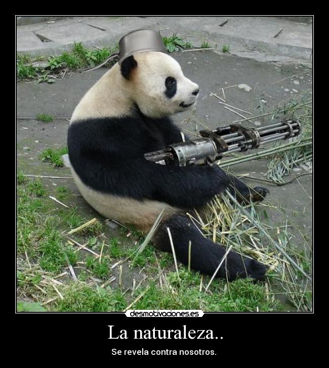 La naturaleza.. - 