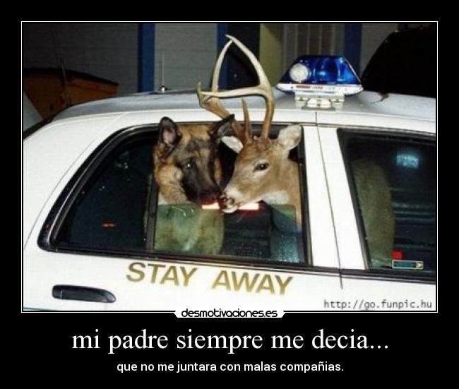 mi padre siempre me decia... - 