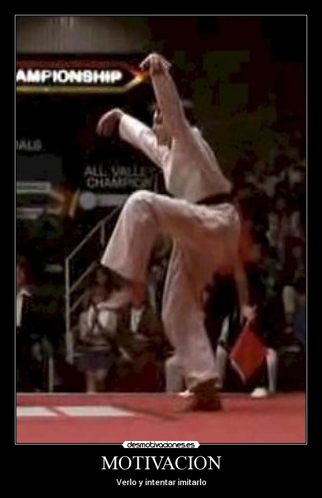 carteles karate kid desmotivaciones