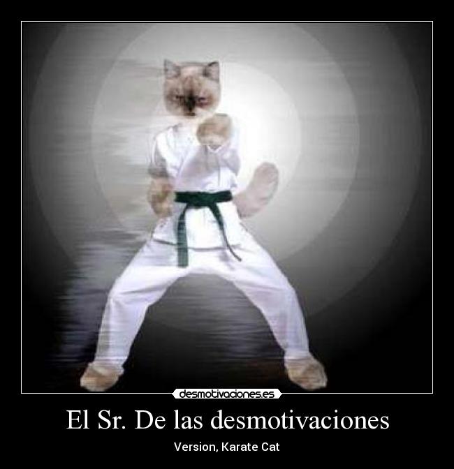 El Sr. De las desmotivaciones - Version, Karate Cat