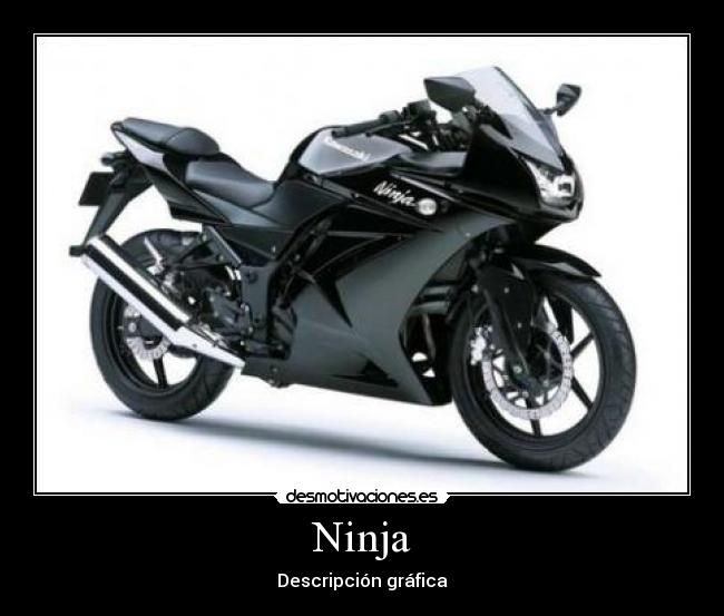 Ninja - Descripción gráfica