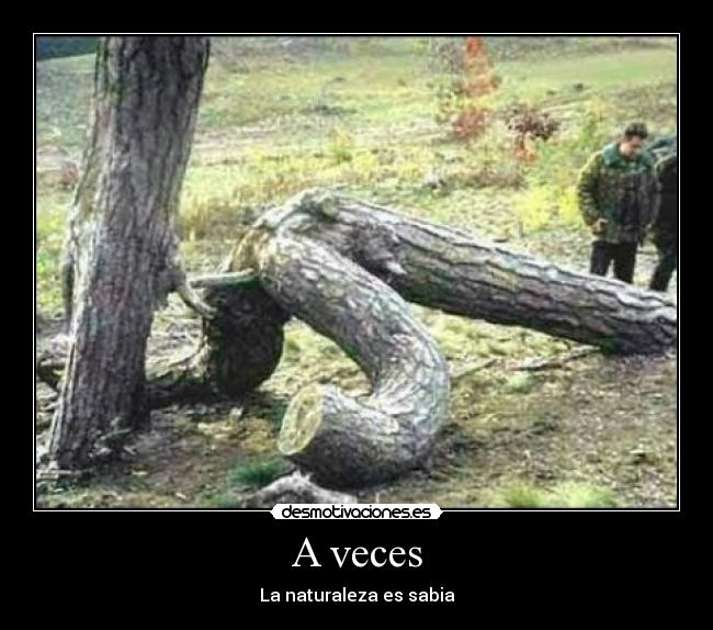A veces -