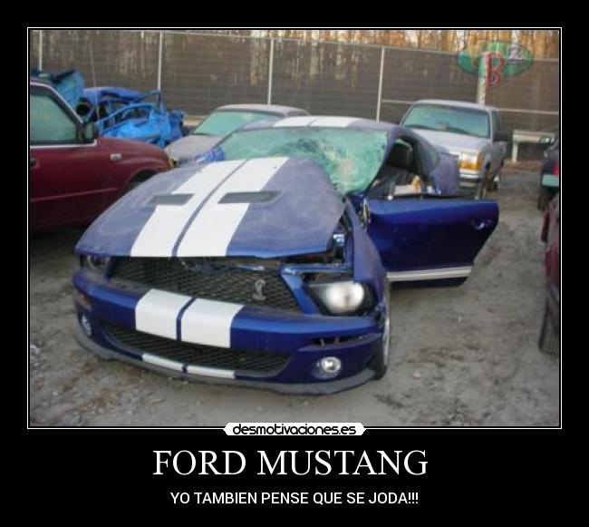 FORD MUSTANG -