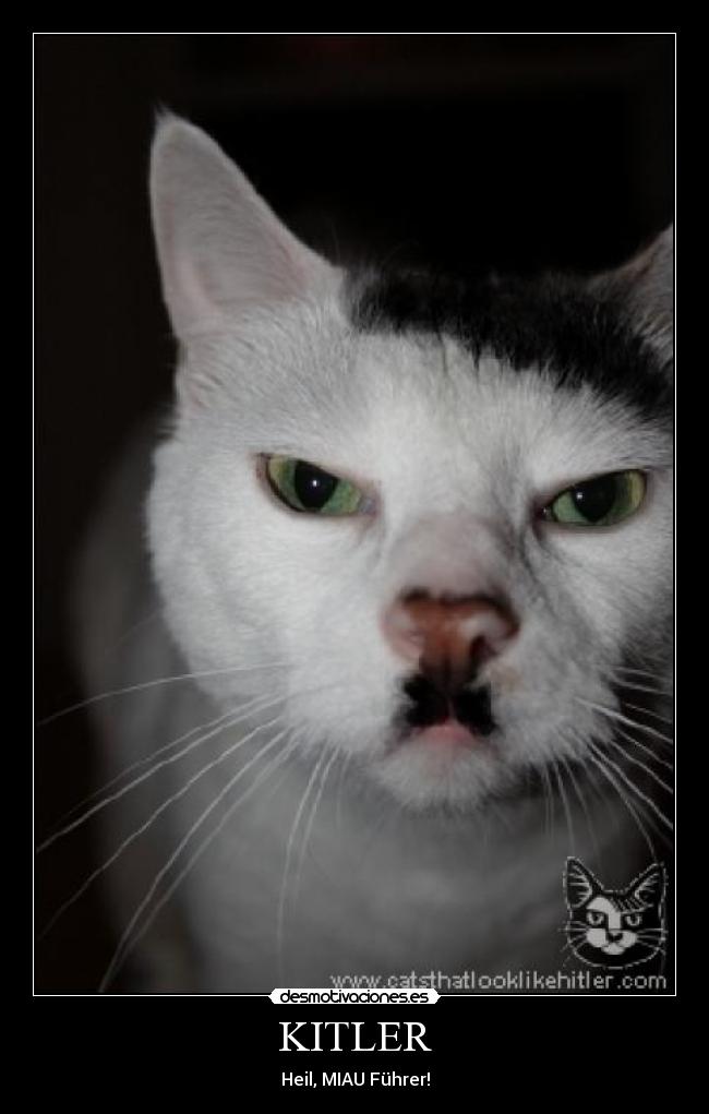 KITLER - 