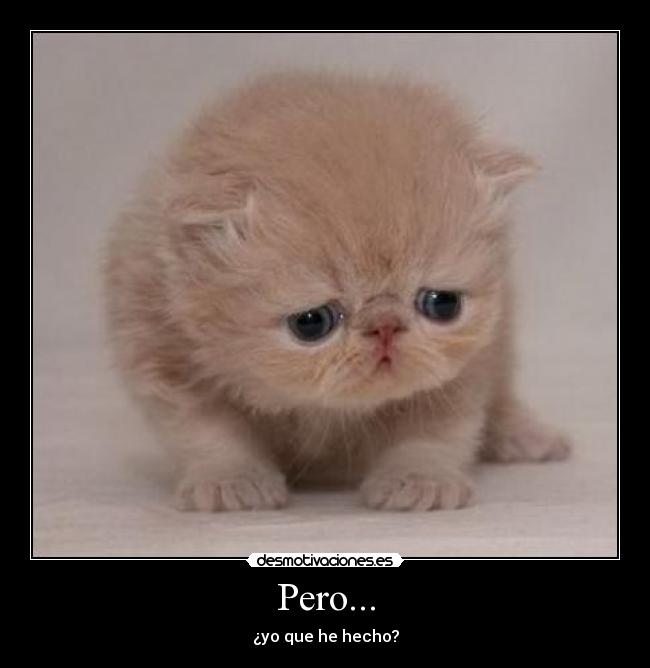 Pero... - 
