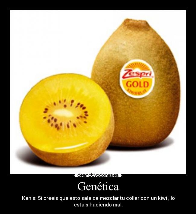 Genética - Kanis: Si creeis que esto sale de mezclar tu collar con un kiwi , lo
estais haciendo mal.
