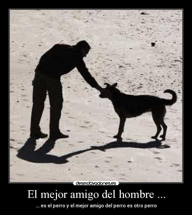 El mejor amigo del hombre ... - ... es el perro y el mejor amigo del perro es otro perro