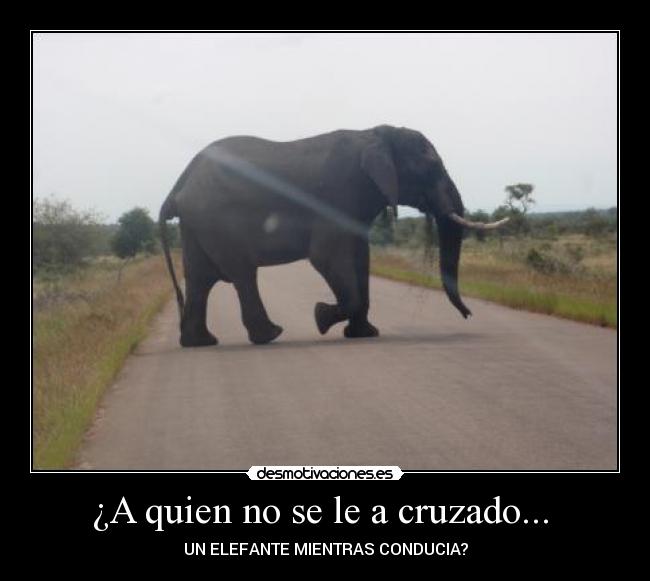¿A quien no se le a cruzado... -