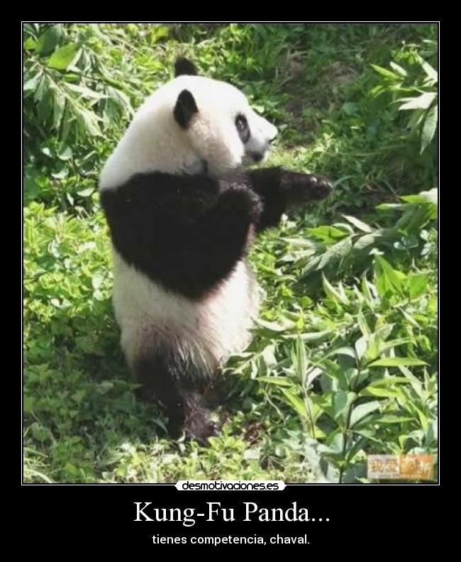 Kung-Fu Panda... - tienes competencia, chaval.