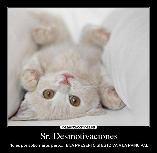 Sr. Desmotivaciones - 