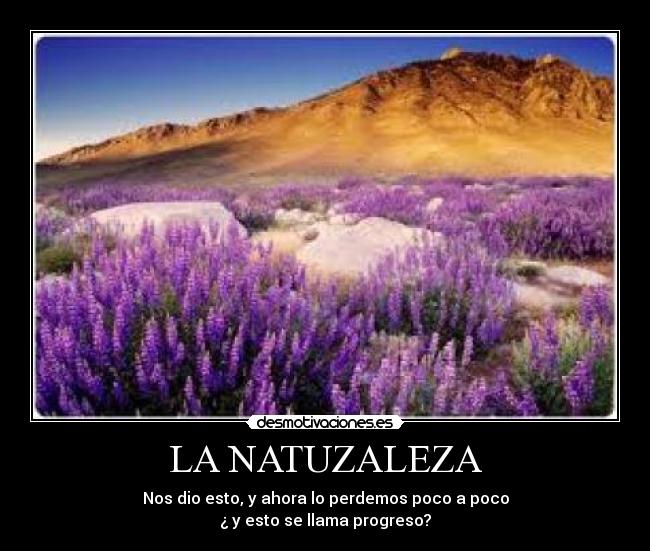 LA NATUZALEZA -