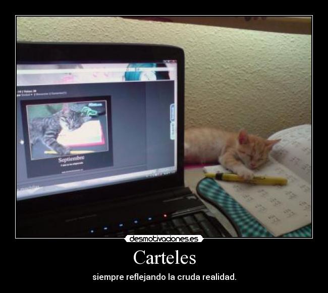 carteles gato septiembre carteles desmotivaciones desmotivaciones