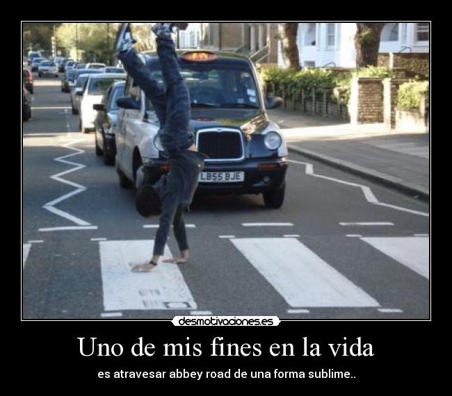 Uno de mis fines en la vida -