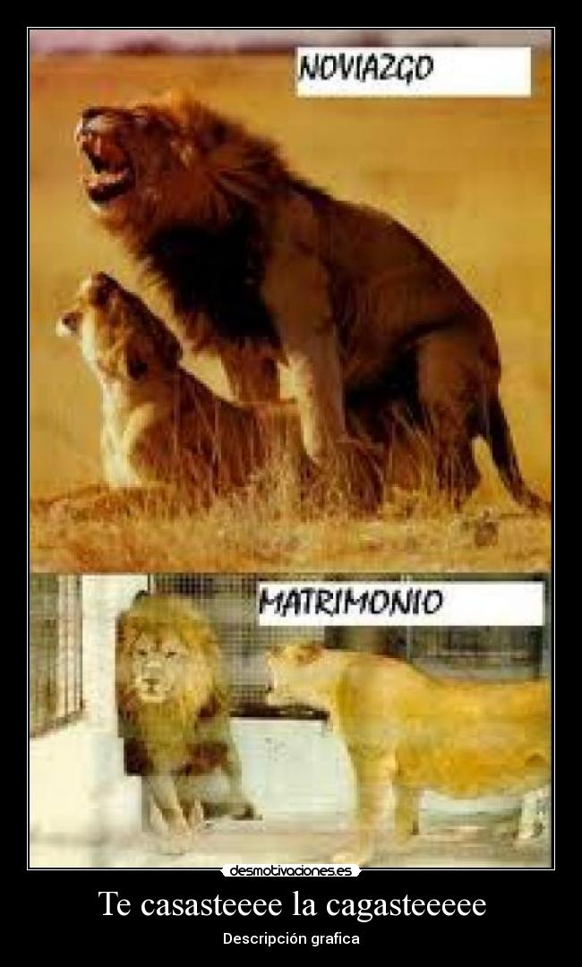 carteles gran verdad desmotivaciones