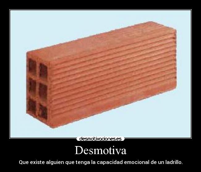 Desmotiva - Que existe alguien que tenga la capacidad emocional de un ladrillo.
