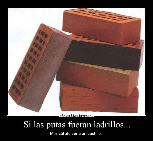 Si las putas fueran ladrillos... -