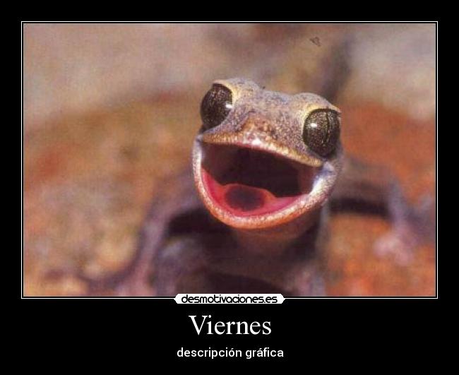 Viernes - descripción gráfica