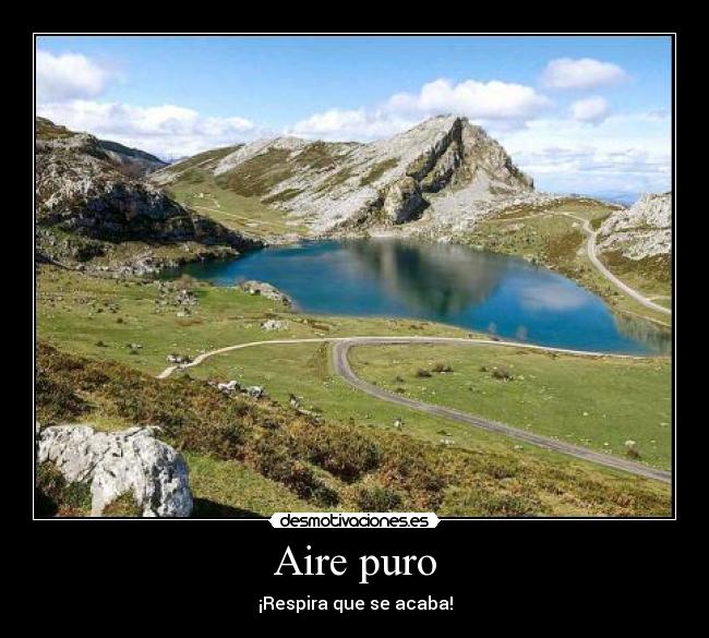 Aire puro - 