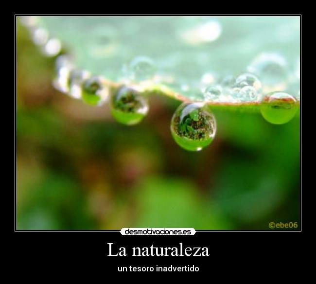 La naturaleza -