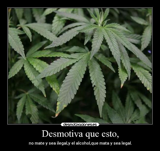 Desmotiva que esto, -