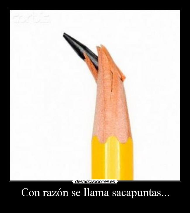 Con razón se llama sacapuntas... - 