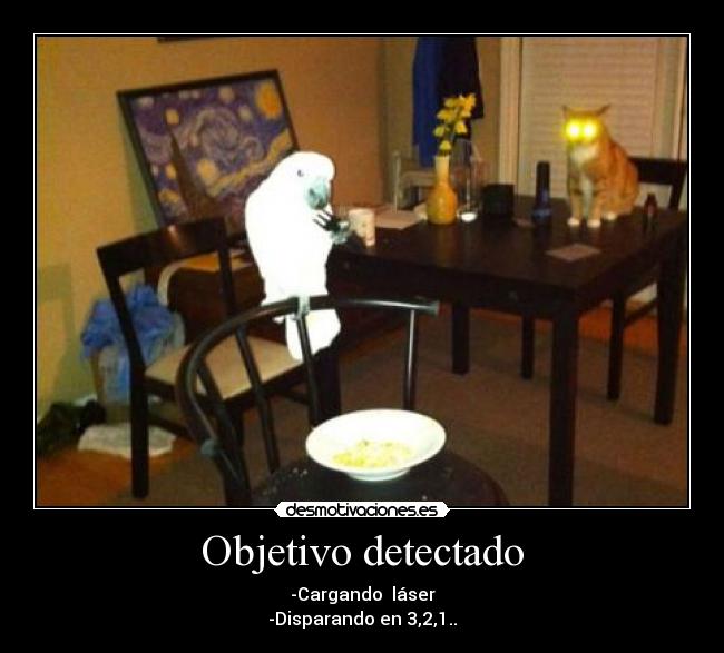 Objetivo detectado - -Cargando láser
-Disparando en 3,2,1..