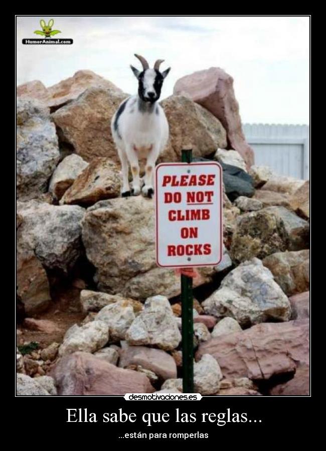 Ella sabe que las reglas... -