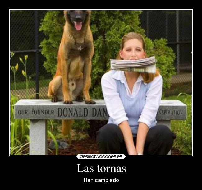 Las tornas -