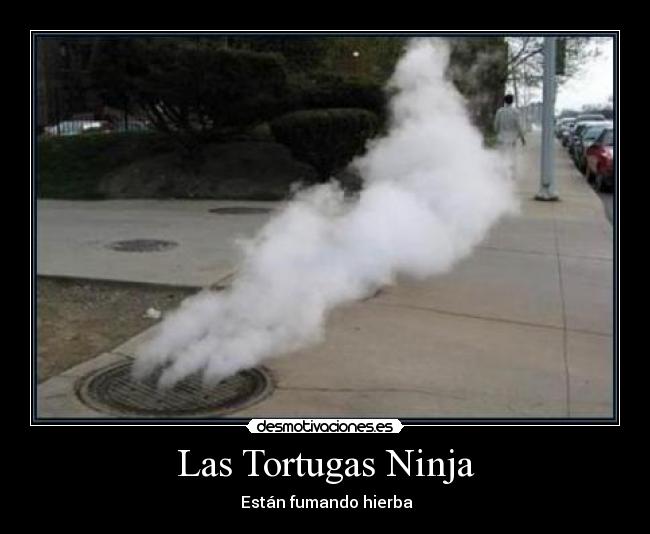 Las Tortugas Ninja -