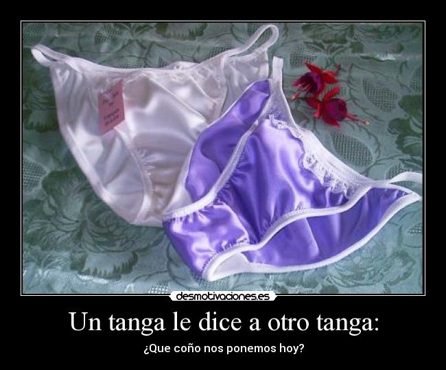 Un tanga le dice a otro tanga: - 