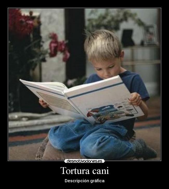 Tortura cani -