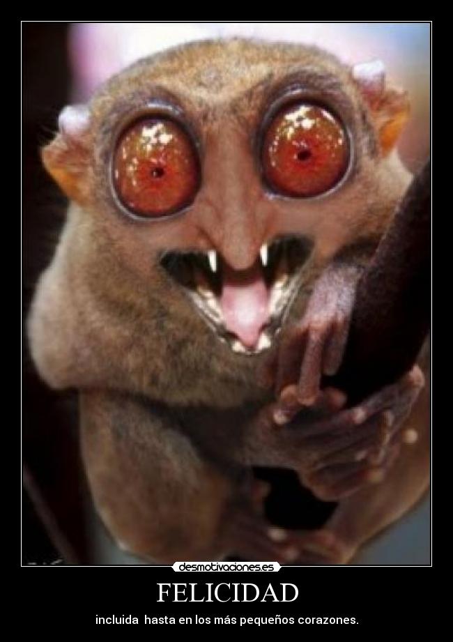 carteles felicidad felicidad chick norris desmotivaciones
