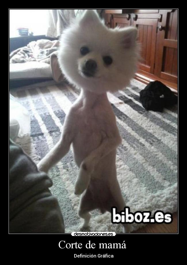 Corte de mamá - Definición Gráfica