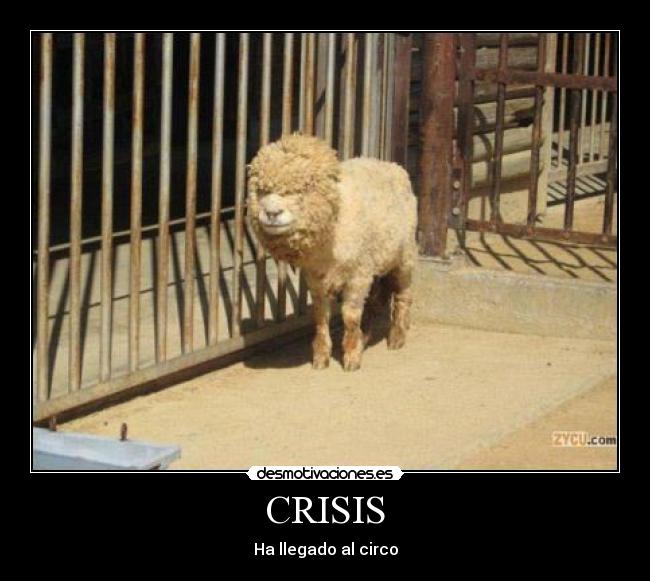 CRISIS - 
