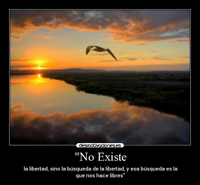 carteles libertad desmotivaciones