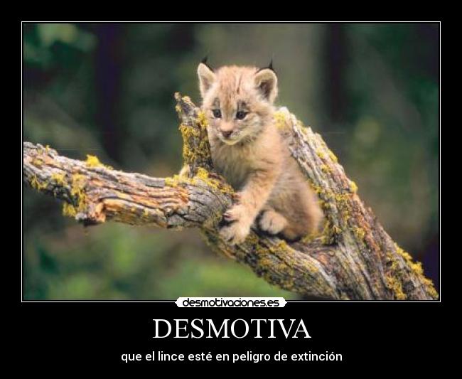 DESMOTIVA -