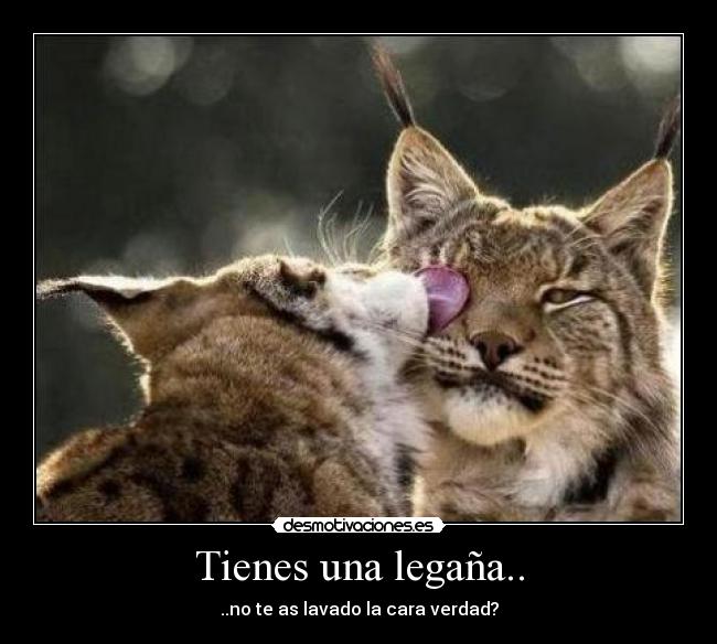 Tienes una legaña.. - ..no te as lavado la cara verdad?