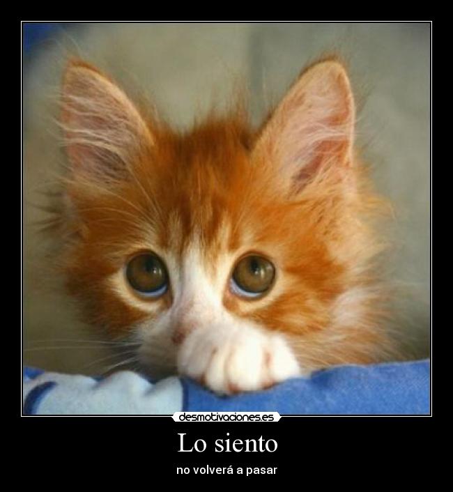 Lo siento - no volverá a pasar