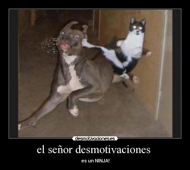 el señor desmotivaciones - es un NINJA!