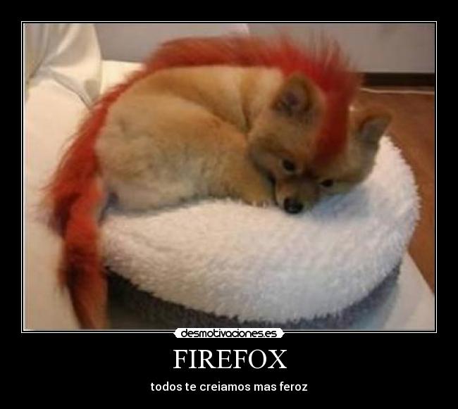 FIREFOX - 