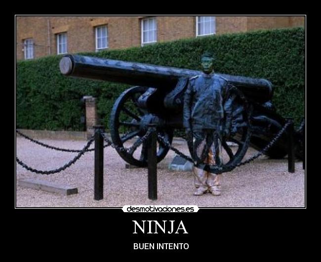 NINJA - 