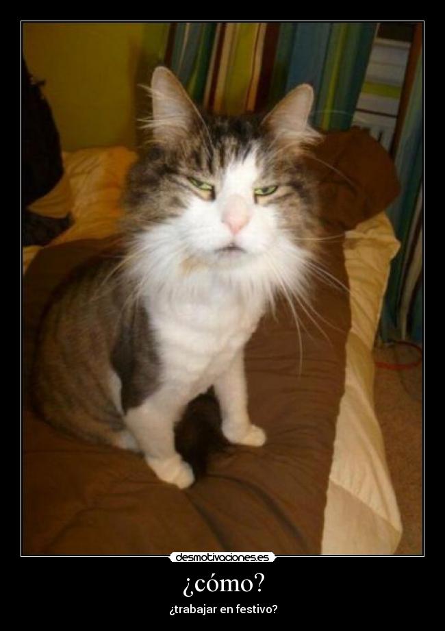 ¿cómo? - ¿trabajar en festivo?