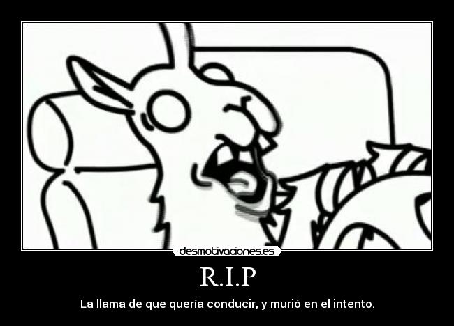 R.I.P - La llama de que quería conducir, y murió en el intento.