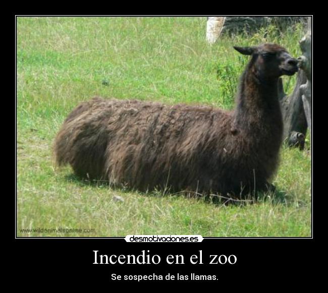 Incendio en el zoo - 
