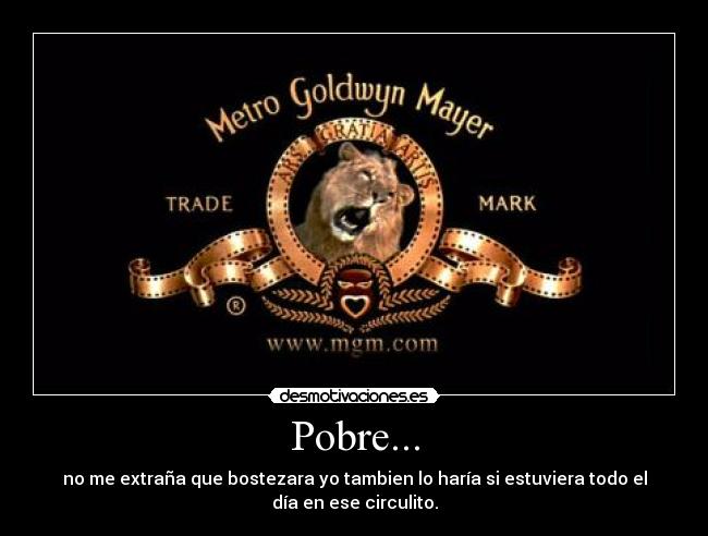 Pobre... -