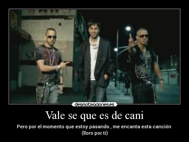 Vale se que es de cani - 