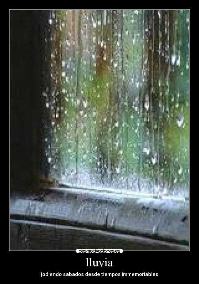 carteles lluvia sabado pompero justin bieber nina pedobear bear pedo chuck norris desmotivaciones senor sr desmotivaciones